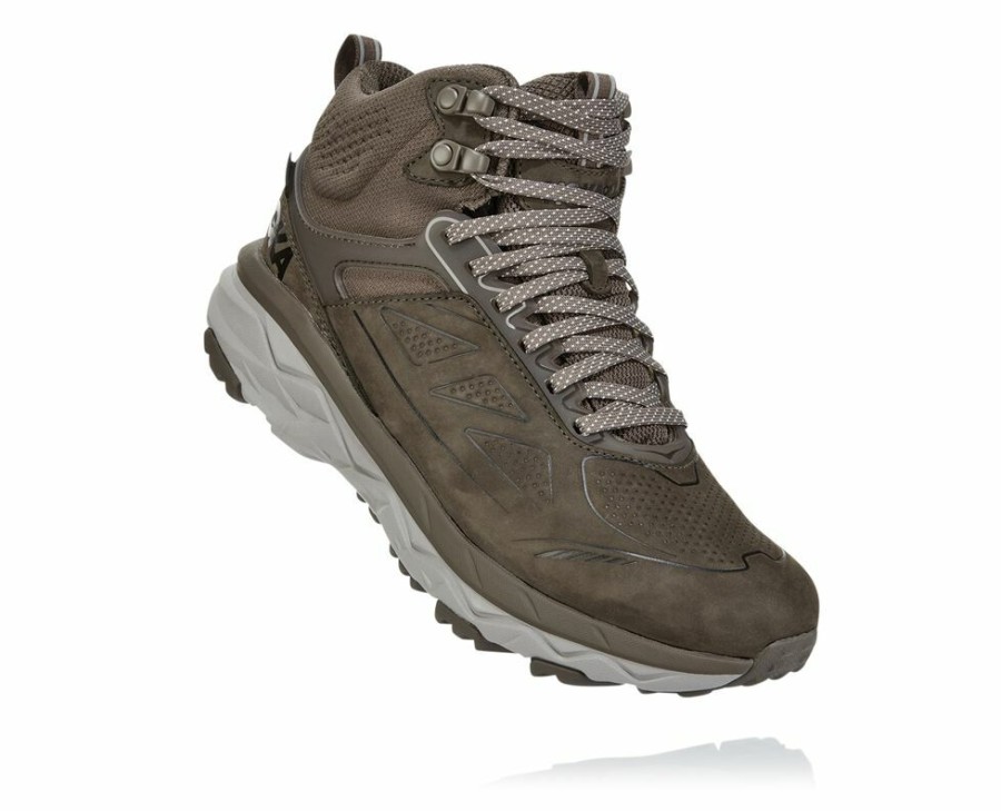 Women'S Shoes * | Online Hoka Women'S Challenger Mid Gore-Tex Hiking Boots Brown My-7961850