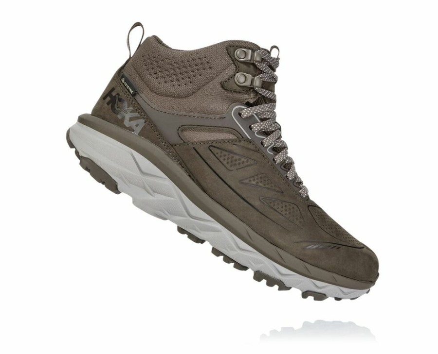 Women'S Shoes * | Online Hoka Women'S Challenger Mid Gore-Tex Hiking Boots Brown My-7961850