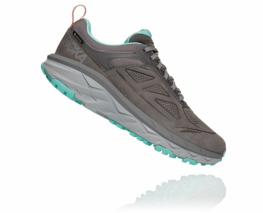 Women'S Shoes * | Online Hoka Women'S Challenger Low Gore-Tex Hiking Shoes Grey My-1079268