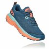 Women'S Shoes * | Shop Hoka Women'S Challenger Atr 6 Orthopedic Shoes Blue/Orange My-2874443